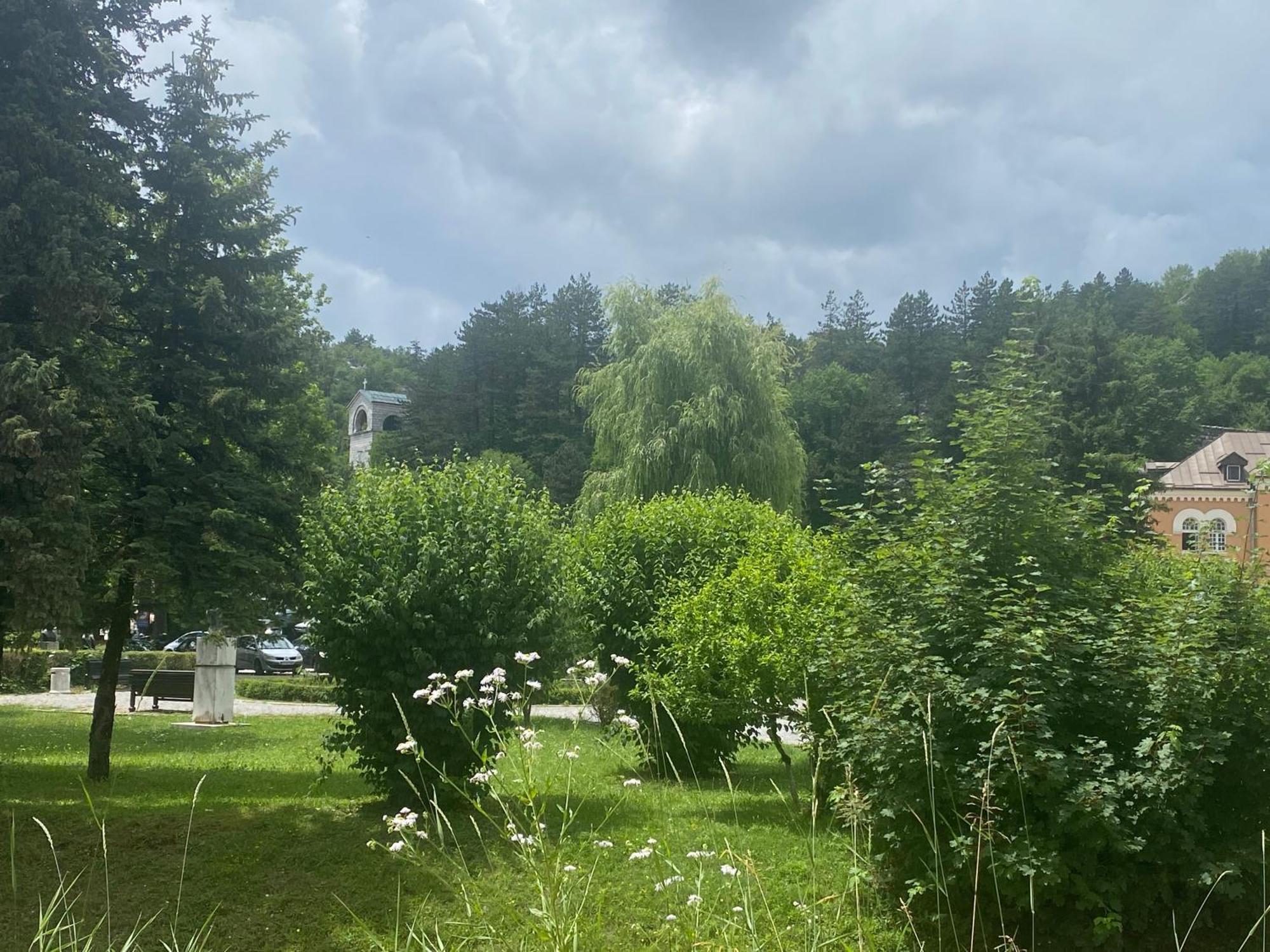 Apartments Bokan Cetinje Bagian luar foto